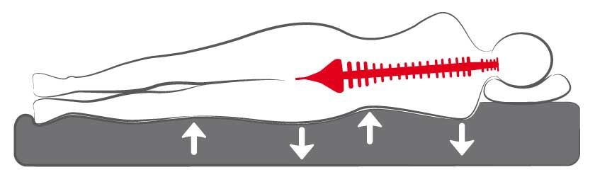 Die idealtypische Unterstützung der Liegeposition